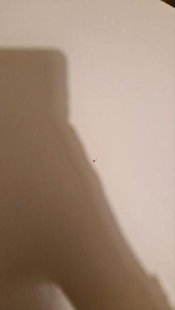 Bureau galant ikea - afbeelding 3