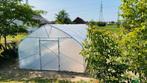 Profi kas, Tunnelkas, KWALITEIT 5x10 m - EU-productie, Staal, Folie, Verzenden, Kweekkas