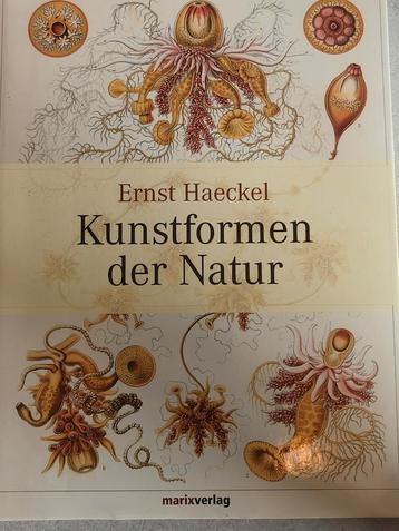 Kunstformen der Natur - Ernst Haeckel beschikbaar voor biedingen
