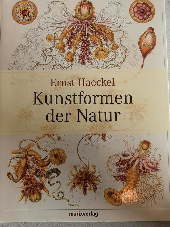 Kunstformen der Natur - Ernst Haeckel, Boeken, Natuur, Gelezen, Natuur algemeen, Ophalen of Verzenden