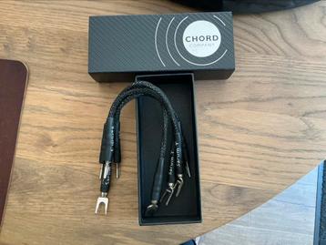 Chord Sarum T jumpers beschikbaar voor biedingen