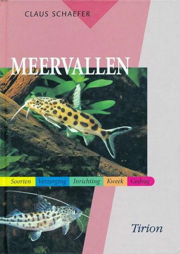 Meervallen - Claus Schaefer beschikbaar voor biedingen