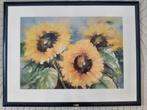 Afbeelding Zonnebloemen Aquarel, Ophalen