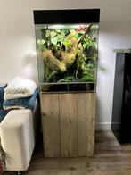 Gifkikker paludarium DutchRana, Dieren en Toebehoren, Reptielen en Amfibieën | Toebehoren, Gebruikt, Terrarium of Paludarium, Ophalen