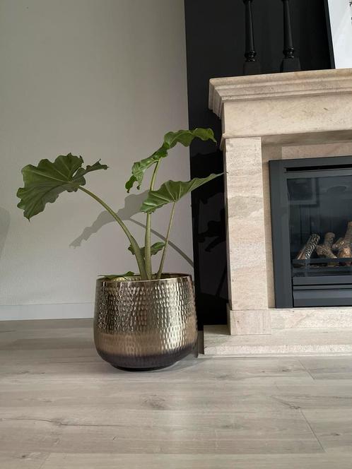Gouden bloempot/nieuw, Tuin en Terras, Bloempotten, Nieuw, Metaal, Binnen, Balkon, Minder dan 40 cm, 40 cm of meer, Rond, Ophalen of Verzenden