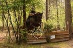 Lease verzorg paard aangeboden., Dieren en Toebehoren, Paarden en Pony's | Verzorgingsproducten, Ophalen, Nieuw