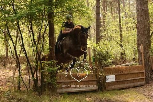 Lease verzorg paard aangeboden., Dieren en Toebehoren, Paarden en Pony's | Verzorgingsproducten, Nieuw, Ophalen