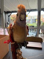 Geweldige papaegaai, Ophalen of Verzenden