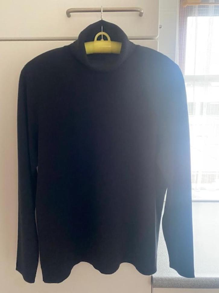 zwarte dames coltrui, Kleding | Dames, Truien en Vesten, Zo goed als nieuw, Maat 42/44 (L), Zwart, Verzenden