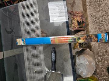 Terrarium voor gekko met verschillende soorten zand beschikbaar voor biedingen
