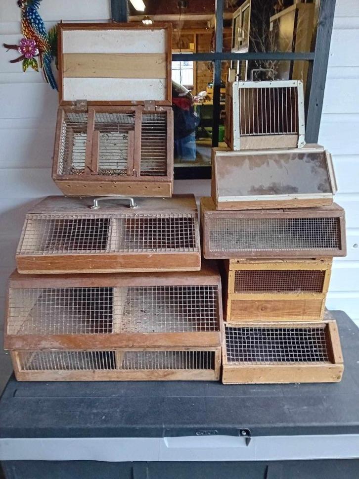 te koop verschillende soorten verzendkisten, Dieren en Toebehoren, Vogels | Toebehoren, Gebruikt, Overige typen, Ophalen