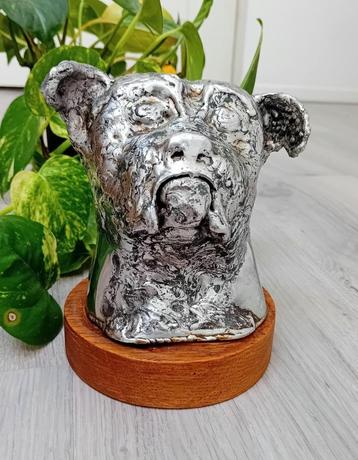 Bulldog Buste Beeld beschikbaar voor biedingen
