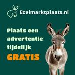 Ezel (ver)kopen?, Dieren en Toebehoren, Overige Dieren, Juli, Meerdere dieren