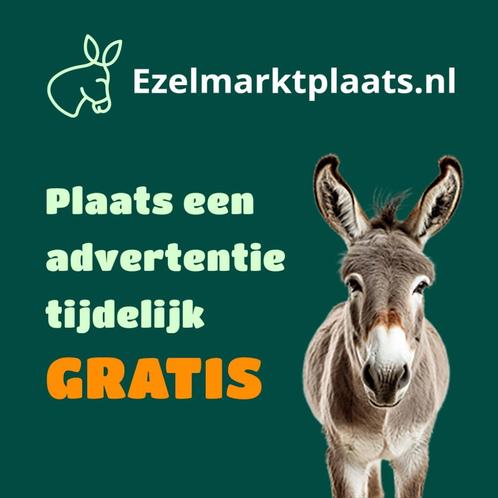 Ezel (ver)kopen?, Dieren en Toebehoren, Overige Dieren, Meerdere dieren, Juli
