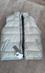 Dior Bodywarmer L, Kleding | Heren, Bodywarmers, Ophalen, Nieuw, Maat 52/54 (L), Wit