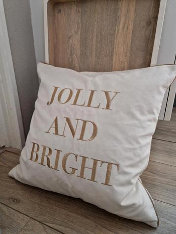 Riviera Maison sier en kerst kussen  - Jolly and Bright beschikbaar voor biedingen