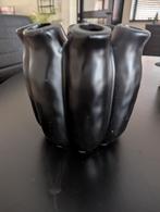 Tulpenvaas !!!, Huis en Inrichting, Ophalen, Zwart, Minder dan 50 cm, Glas