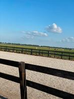Stal beschikbaar op nette pensionstal in Woubrugge, Weidegang, 1 paard of pony