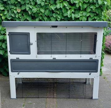 Te koop gevraagd een dekrijpe ram Vlaamse reus liefst wit beschikbaar voor biedingen