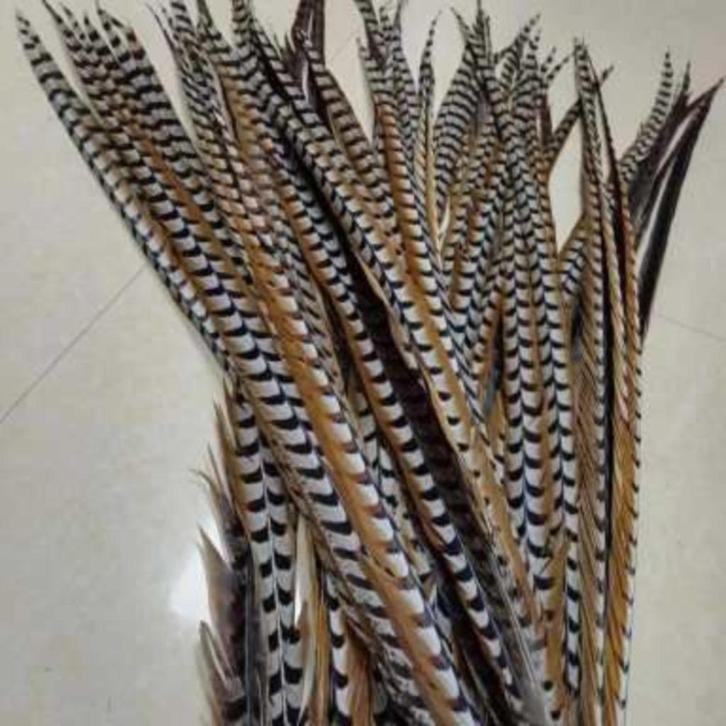 KONINGS FAZANT VEREN diverse lengte op voorraad, Kleding | Dames, Mutsen, Sjaals en Handschoenen, Nieuw, Handschoenen, Ophalen of Verzenden