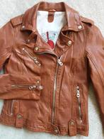 *NIEUW* Leren jasje 'Gipsy' Maat 34/XS, Kleding | Dames, Gipsy, Overige kleuren, Nieuw, Ophalen of Verzenden