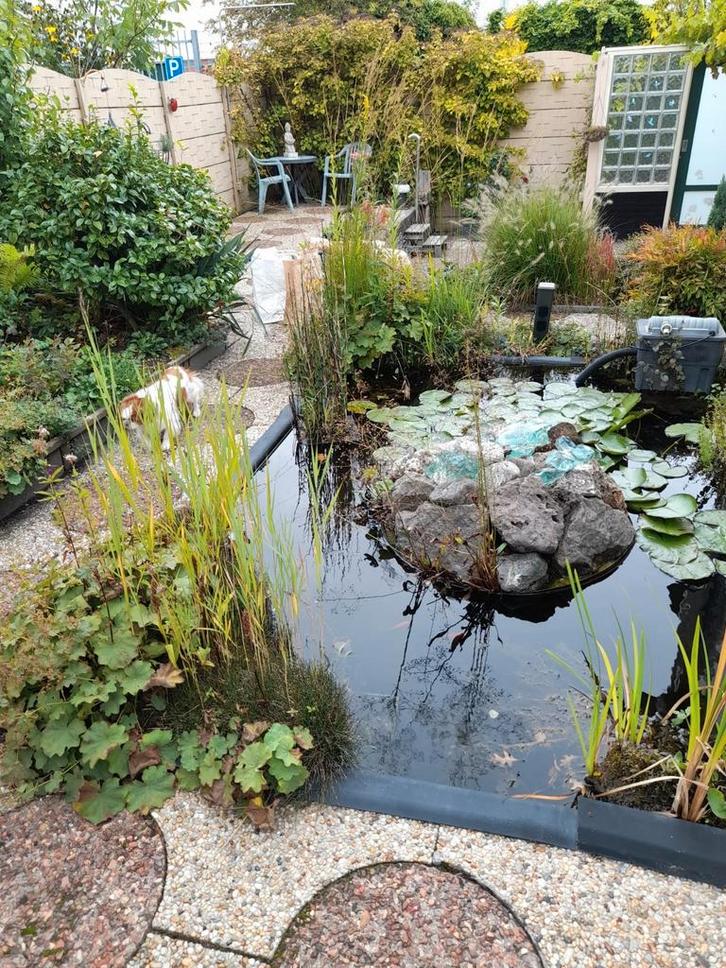 Vissen, planten, eilandfontein en stenen, Tuin en Terras, Waterpartijen en Fonteinen, Zo goed als nieuw, Waterornament, Beton