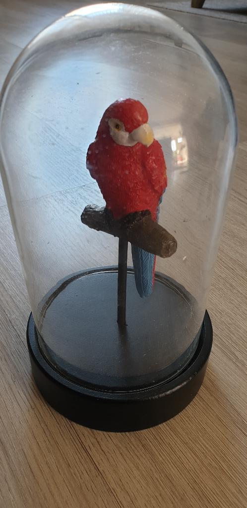 beeld papegaai rood toekan of kaketoe in stolp nieuw, Verzamelen, Beelden en Beeldjes, Nieuw, Dier, Ophalen