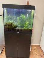 Aquarium met filter, verwarming, LED verlichting en CO2, Dieren en Toebehoren, Vissen | Aquaria en Toebehoren, Ophalen of Verzenden