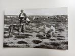 Foto ansichtkaartDwingeloo, Schaapherder Kralose Heide, Ophalen of Verzenden, 1960 tot 1980, Ongelopen, Drenthe