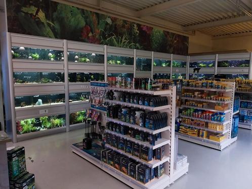 Grote aquariumafdeling met een ruim assortiment, Dieren en Toebehoren, Vissen | Aquaria en Toebehoren, Nieuw, Ophalen
