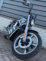 Harley Davidson Chopper VRSCA V-Rod 5HD, 260 ACHTERBAND!, Motoren, Motoren | Harley-Davidson, Chopper, Bedrijf, Meer dan 35 kW