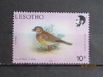 POSTZEGEL  LESOTHO - VOGEL - PF   =3698=, Verzenden, Overige landen, Postfris
