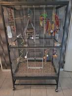 Vofelkooi met toebehiren, Dieren en Toebehoren, Ophalen, Metaal, Vogelkooi