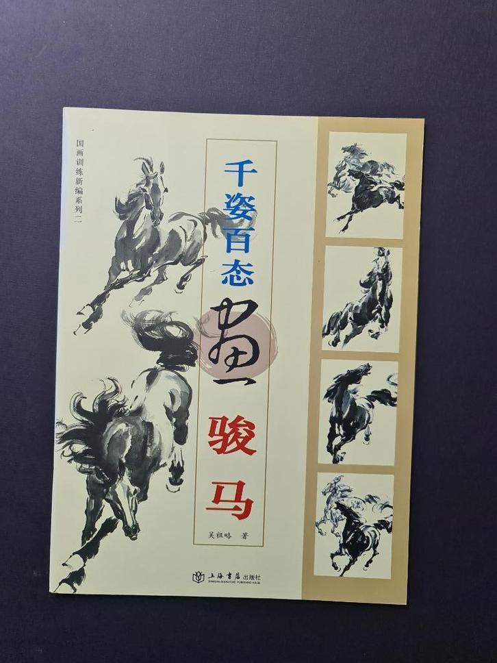 The Way to Paint Horses (Chinese Edition), Boeken, Hobby en Vrije tijd, Zo goed als nieuw, Tekenen en Schilderen, Ophalen of Verzenden
