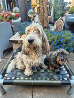 Hondenkussen ✅ hondenbed hondenmand hondenkussen bench dog, 5334LB, Nieuw, Ophalen of Verzenden, Industrial_dog_bed/ www.honden-brokkie.nl