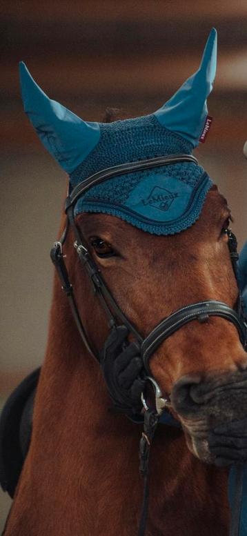 Lemieux oornetje  beschikbaar voor biedingen