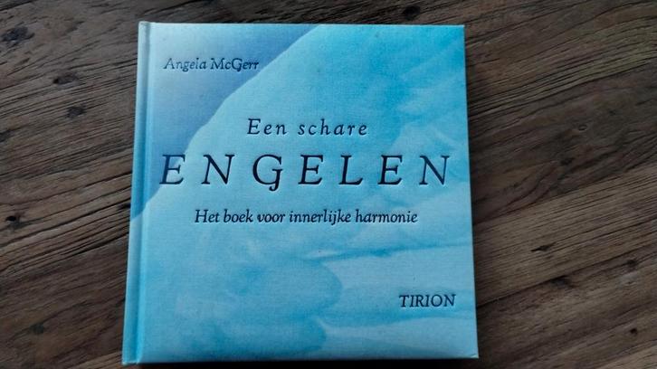 Een schare engelen. Van Angela McGerr, Boeken, Esoterie en Spiritualiteit, Zo goed als nieuw, Achtergrond en Informatie, Spiritualiteit algemeen