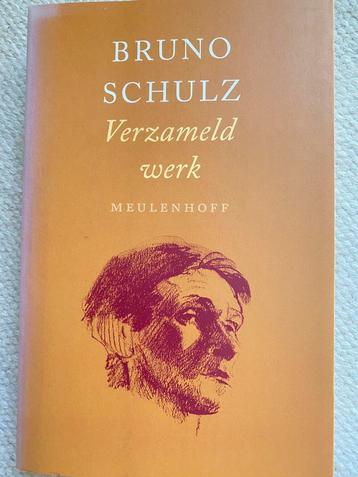 B. Schulz - Verzameld werk beschikbaar voor biedingen