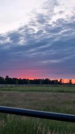 Interesse peiling, paddock voor IR/EMS paarden