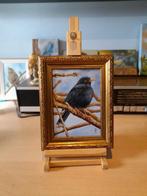 schilderij merel 315 GRATIS lijst - uit eigen atelier - olie, Ophalen of Verzenden