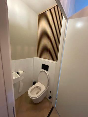 Tegelzetter toilet renovatie beschikbaar voor biedingen