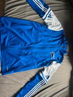 Graafschap College Sport en Bewegen sportkleding, Ophalen, Zo goed als nieuw, Blauw