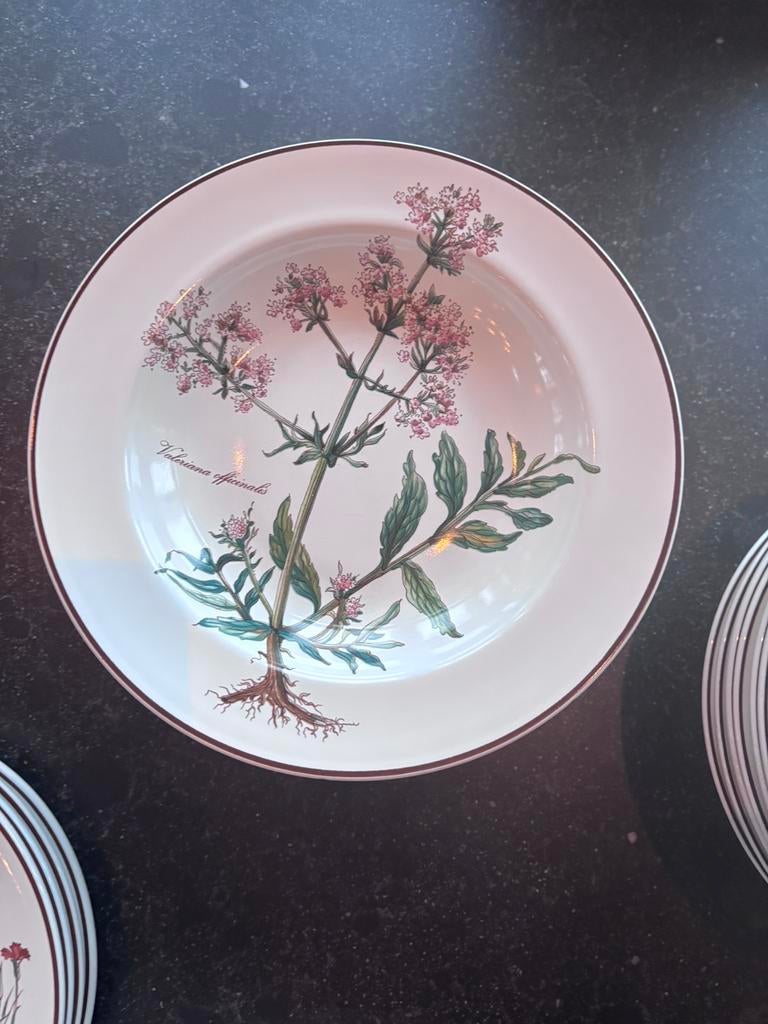 Villeroy & Boch 8 diepe borden Botanica, Ophalen of Verzenden, Porselein, Overige stijlen, Bord(en)