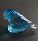 Kosta Boda glas vogel Pimpelmees Paul Hoff limited edition, Antiek en Kunst, Ophalen of Verzenden