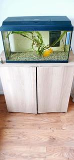 Aquarium met kast., Zo goed als nieuw, Ophalen, Leeg aquarium