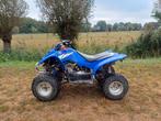 Yamaha raptor 50 yfm50 quad