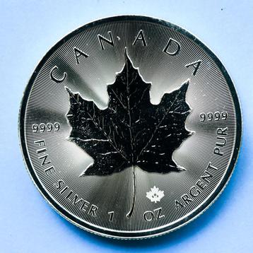 maple leave munten beschikbaar voor biedingen
