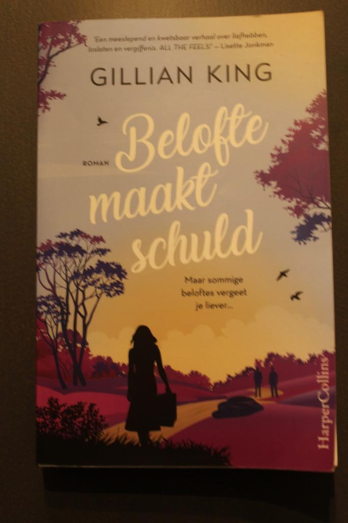 Belofte maakt Schuld -  Gillian King, Boeken, Romans, Zo goed als nieuw, Ophalen