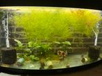 Juwel vision 180, Dieren en Toebehoren, Ophalen, Zo goed als nieuw, Leeg aquarium