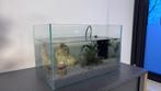 Aquarium, glas 25 liter, inclusief filter en grind, Ophalen, Zo goed als nieuw, Leeg aquarium